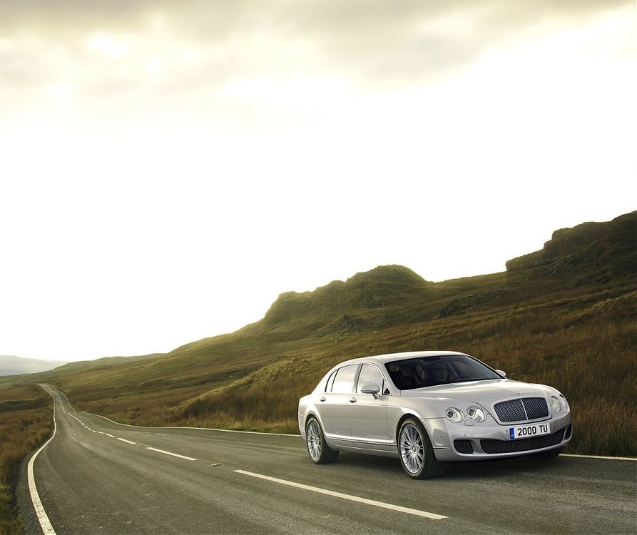 004_09flyingspur.jpg
