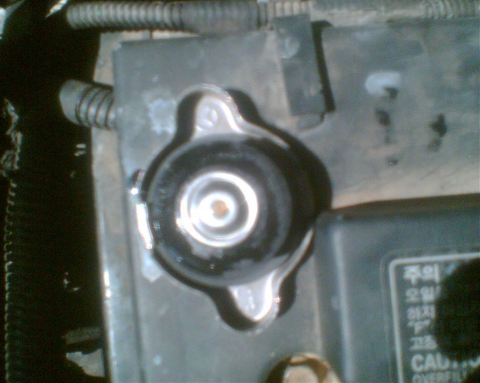 005.jpg