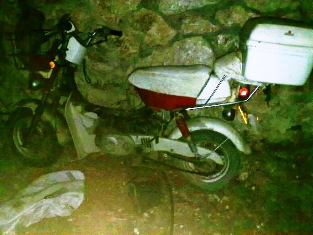 01082010056.jpg