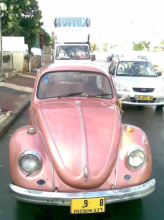 01112009(003).jpg