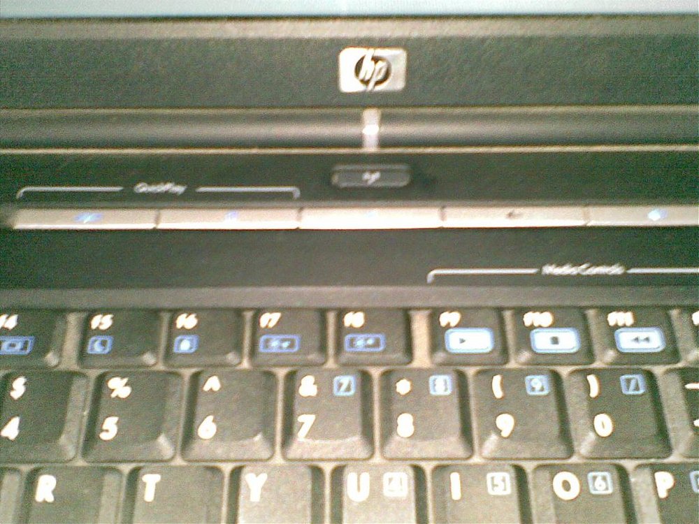 02032008(001).jpg