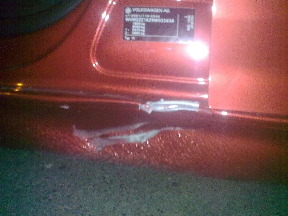 02092010060.jpg