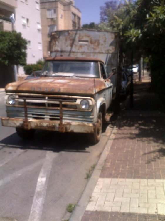 03052010273.jpg