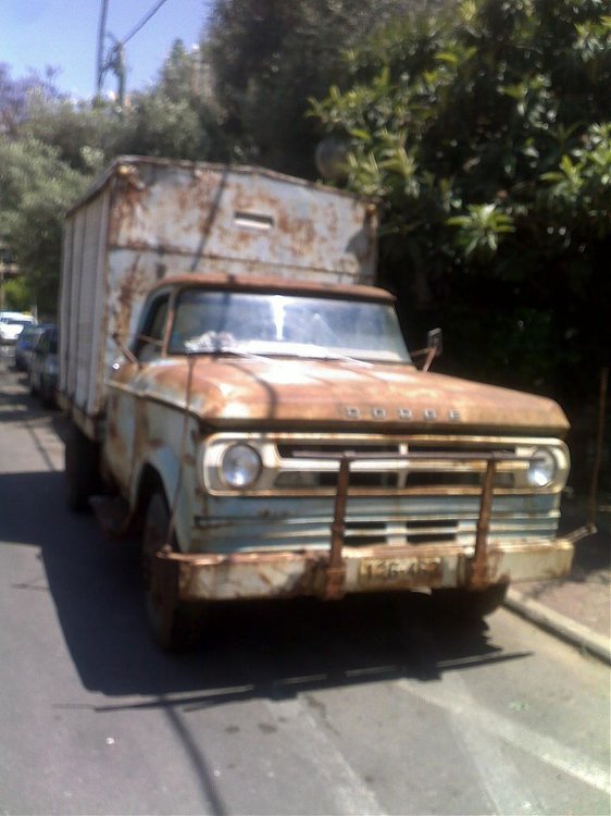 03052010274.jpg