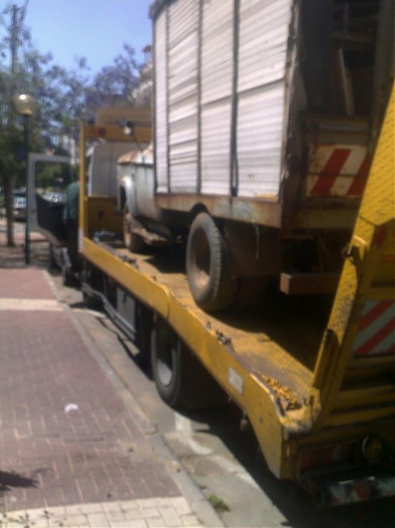 03052010278.jpg