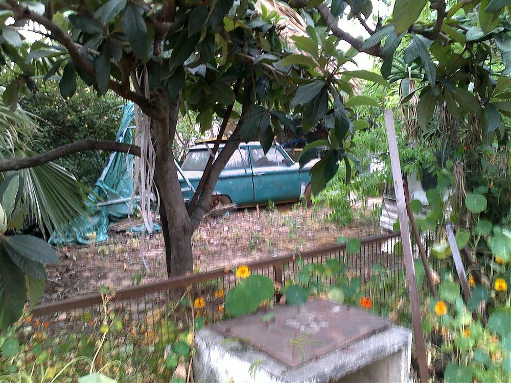 04052009104.jpg