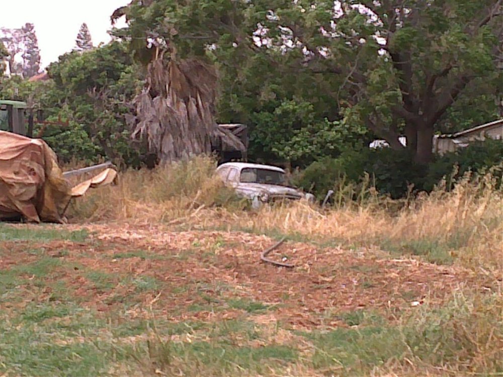 04052009107.jpg