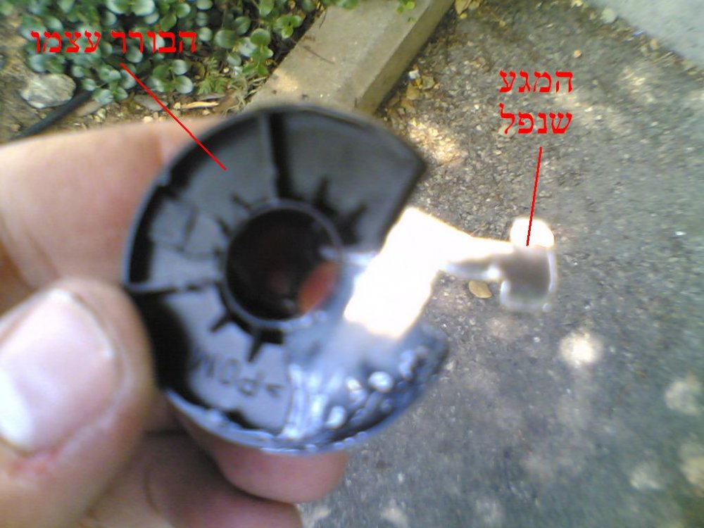 04072006.jpg