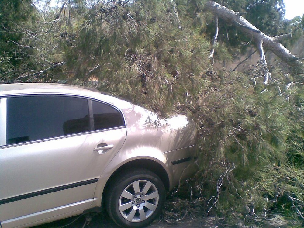 04102010(001)..jpg