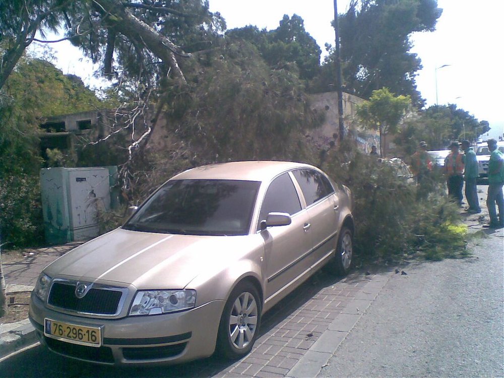 04102010.jpg
