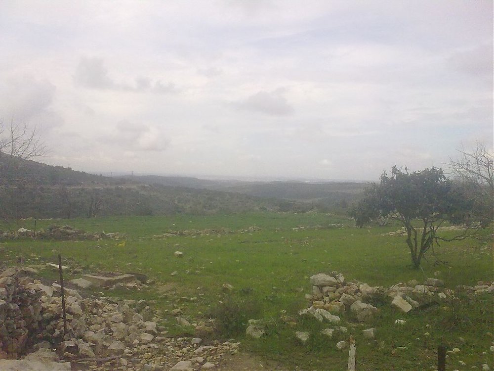 05022011041.jpg