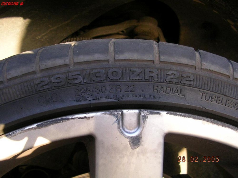 050310_032024-637_ABT9.jpg