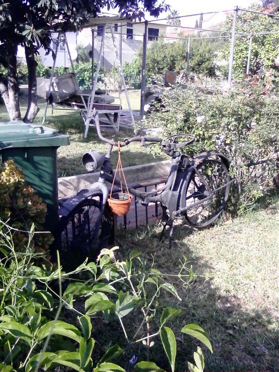 0507091654.jpg
