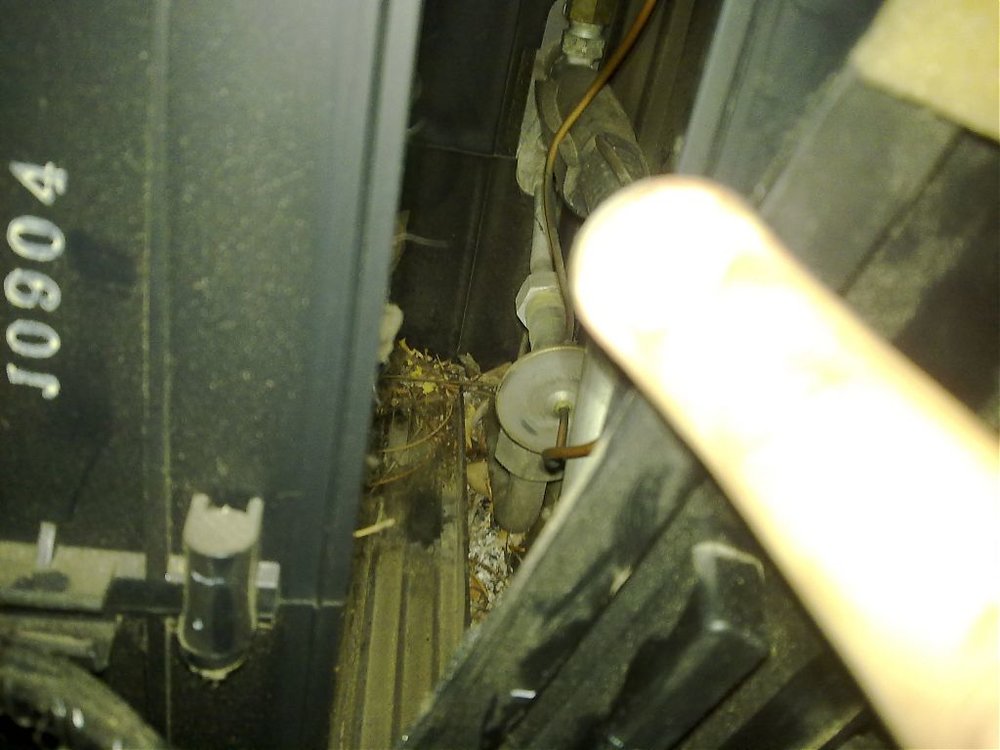 05092009287.jpg