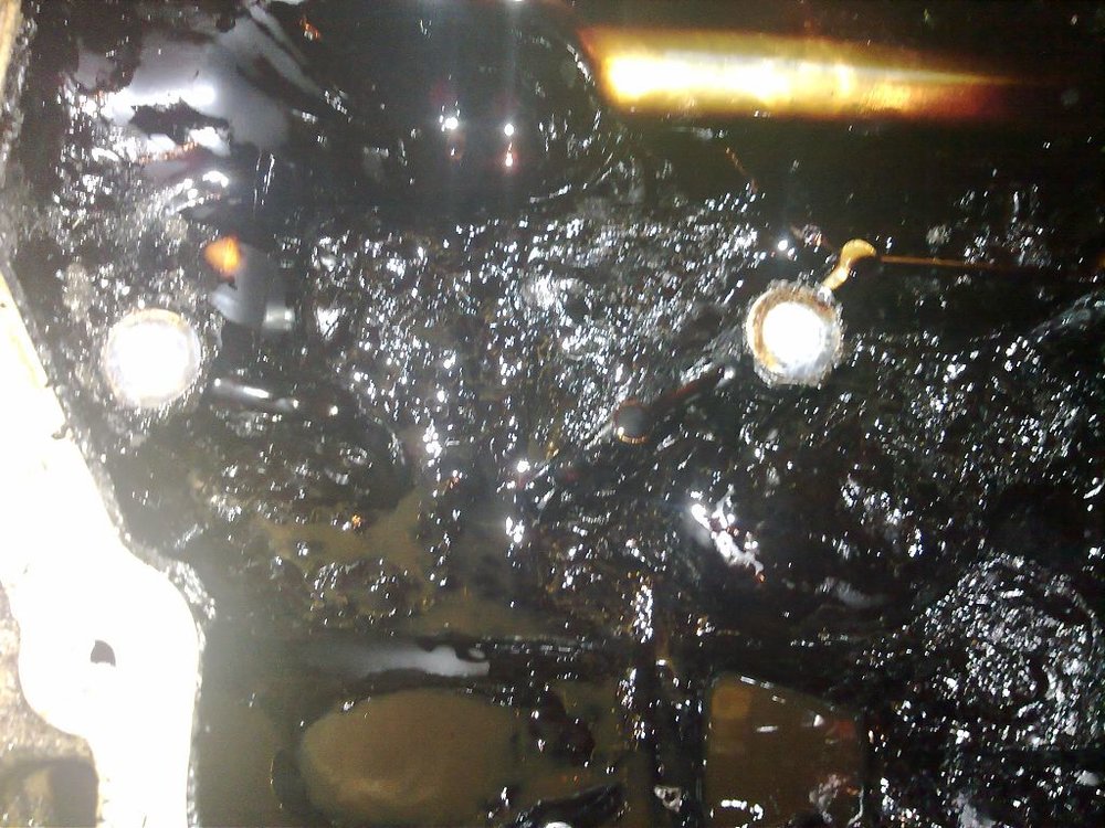 05102011274.jpg