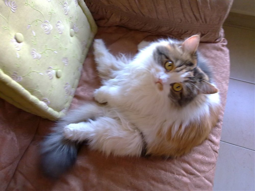 05122010130.jpg