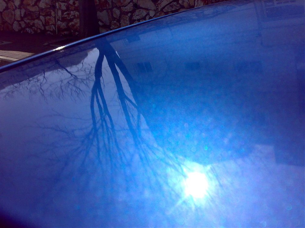 06032009072.jpg