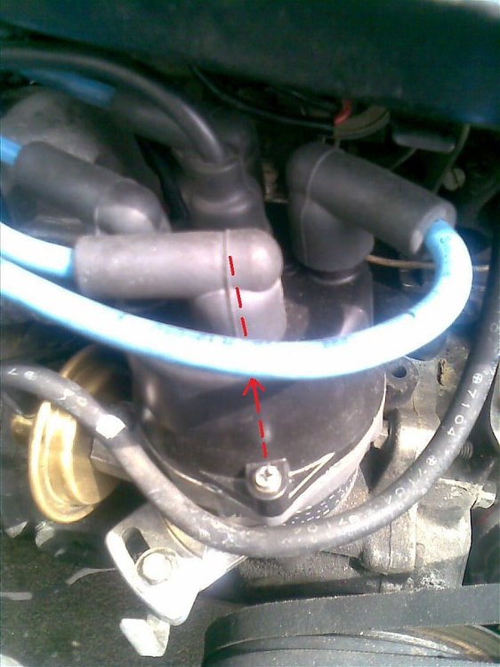 06042009.jpg