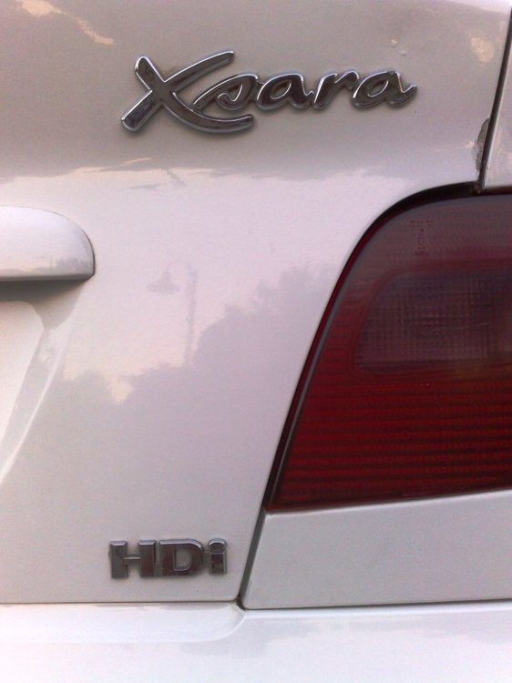 06112008370.jpg
