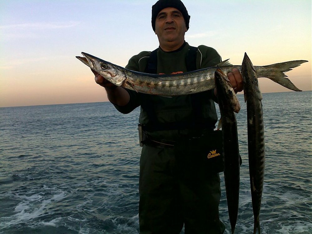 07022010211.jpg