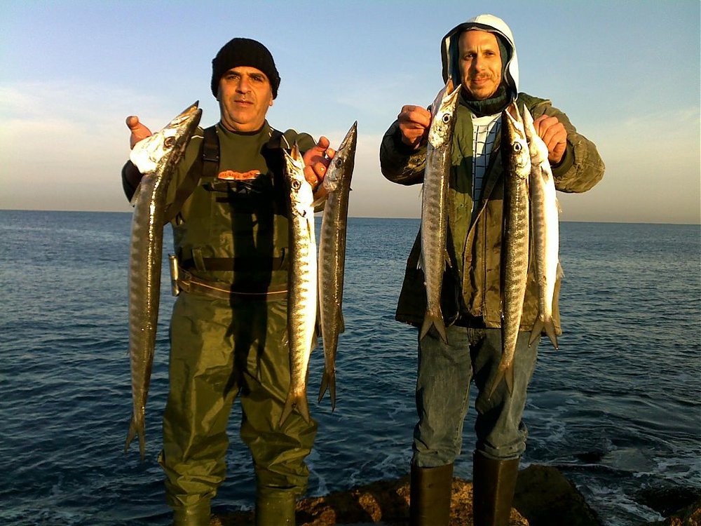 07022010212.jpg
