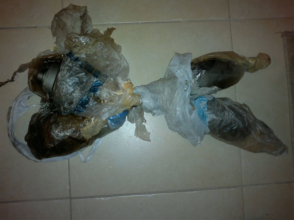 07072011534.jpg