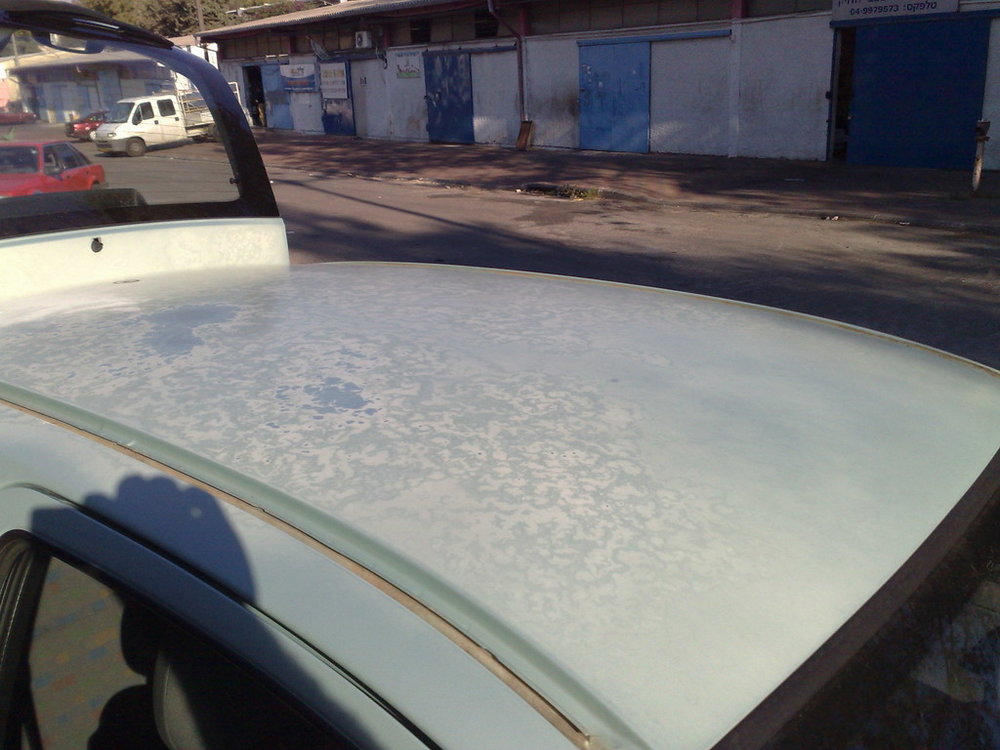 07112008213.jpg
