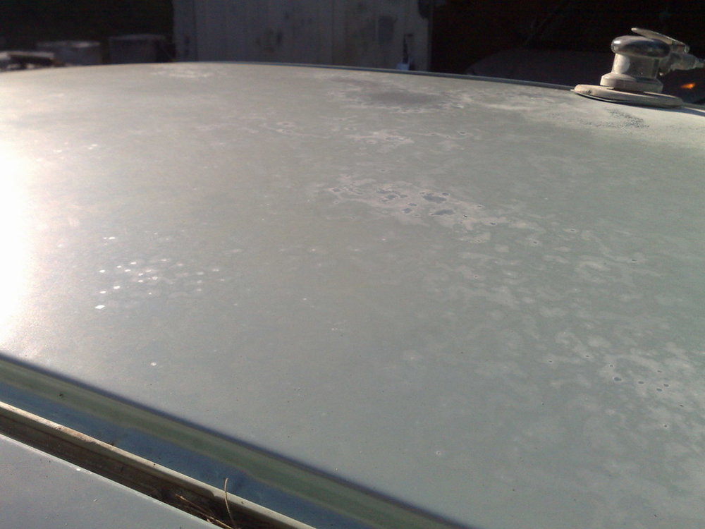 07112008217.jpg