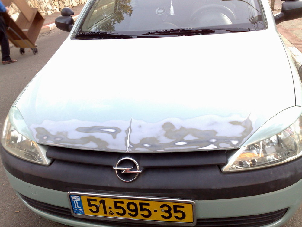 07112008218.jpg