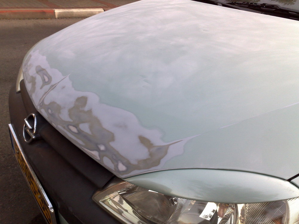 07112008219.jpg