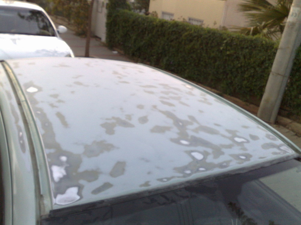07112008220.jpg