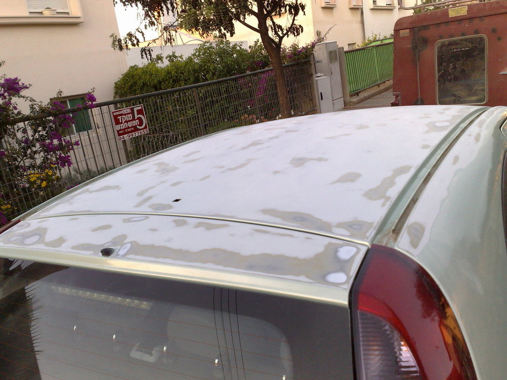 07112008221.jpg