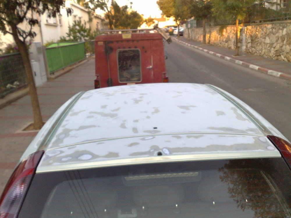 07112008222.jpg