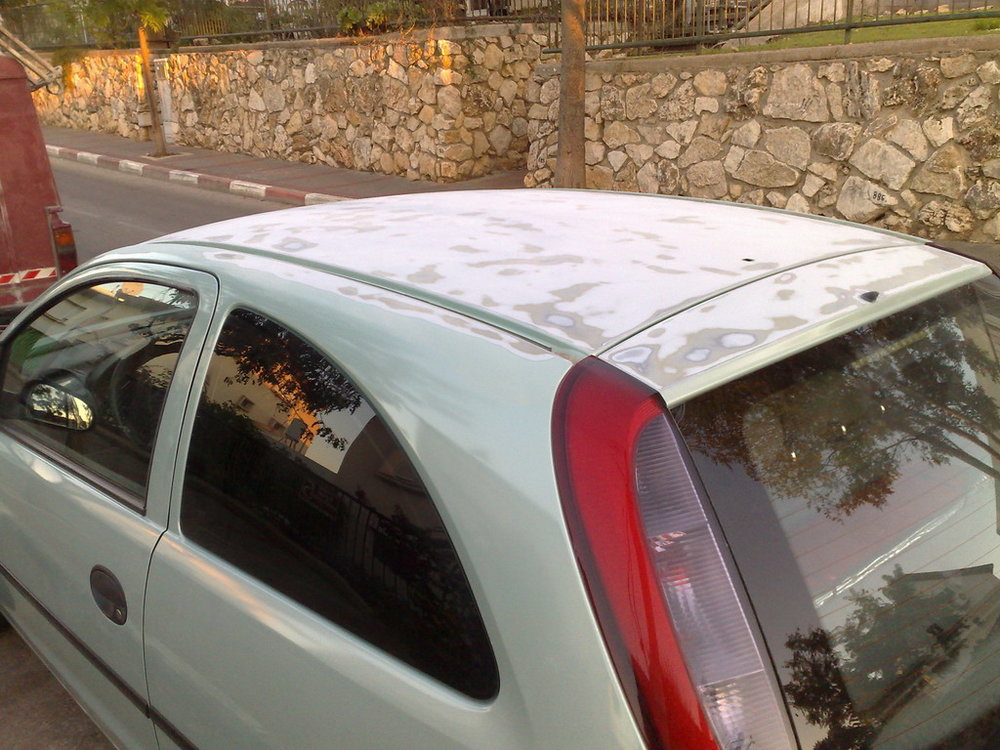 07112008223.jpg