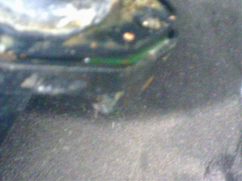 07122010054.jpg