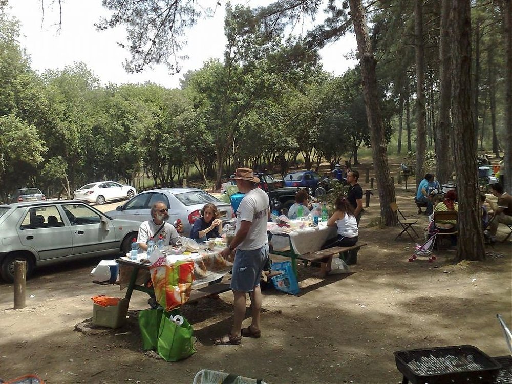 080520102026.jpg