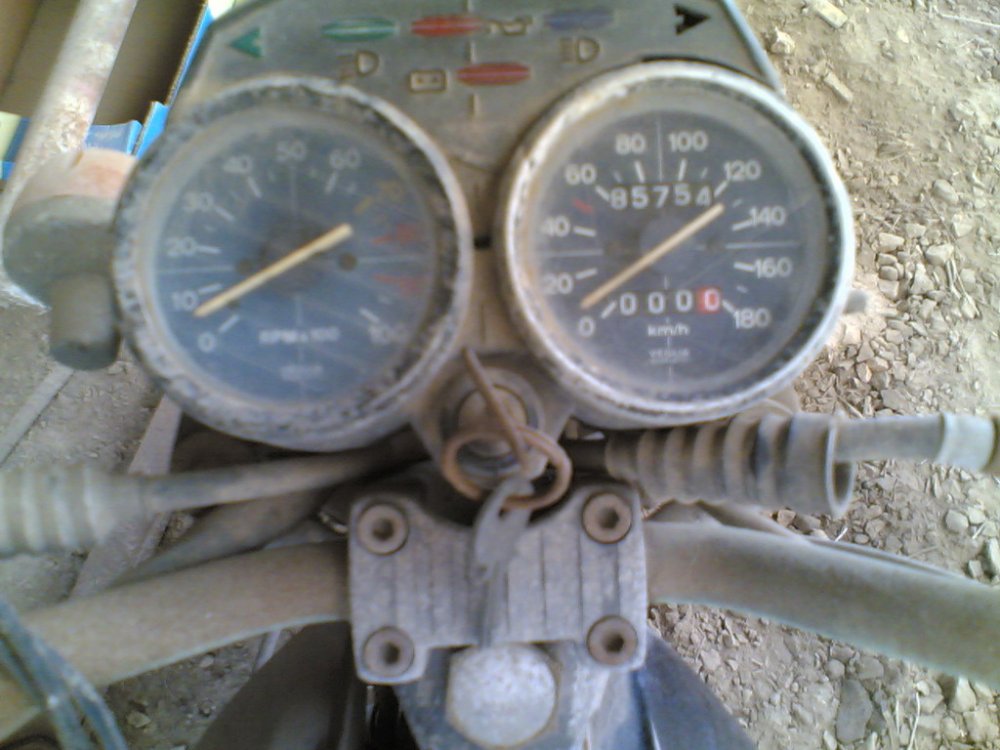 08062007(005)_resize.jpg