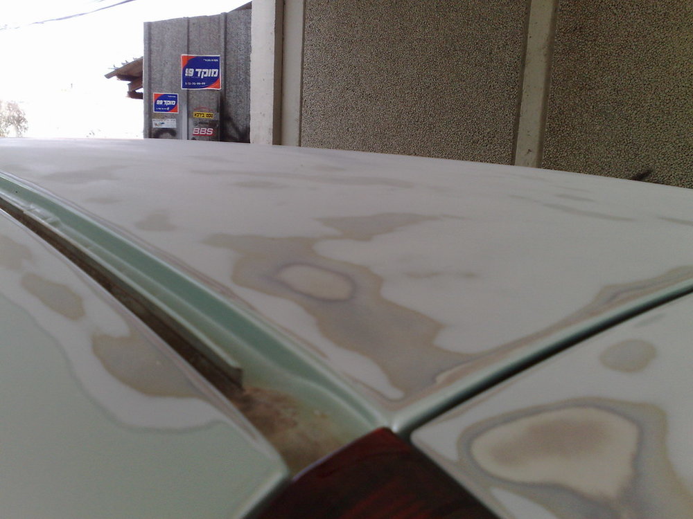 08112008228.jpg