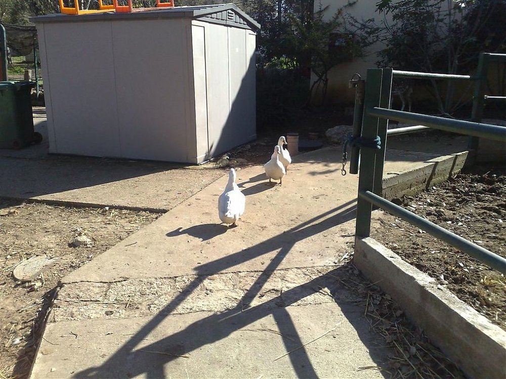 09012010990.jpg
