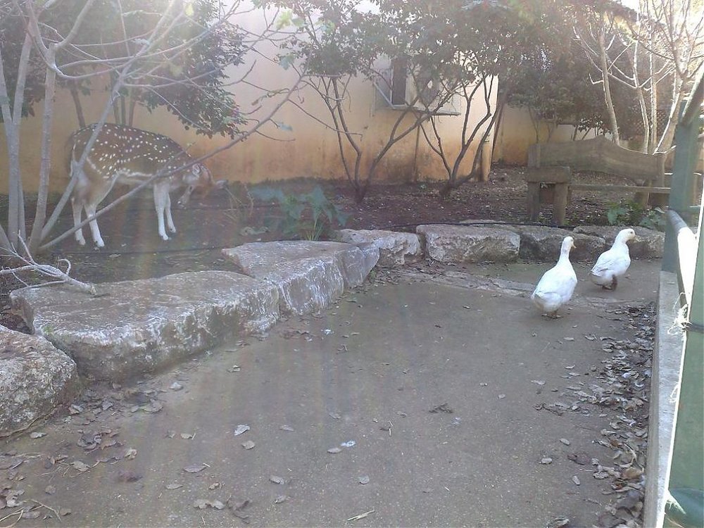 09012010992.jpg