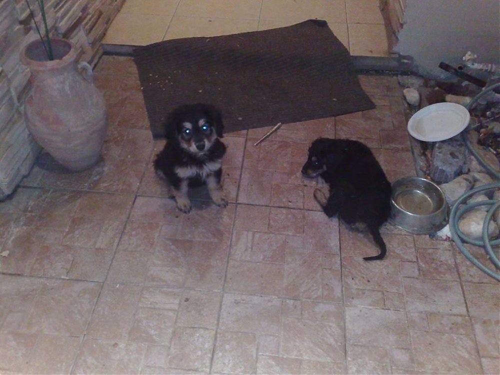 09062008006.jpg