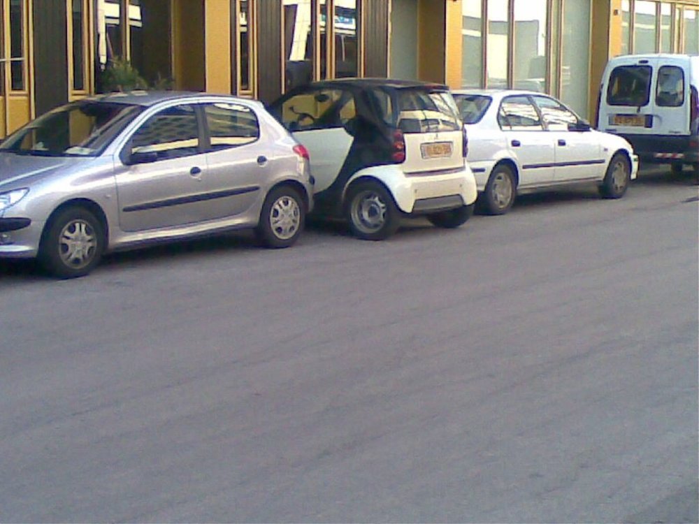 10012008(003).jpg