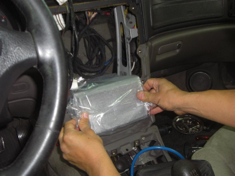 CIMG6764 (Large).JPG