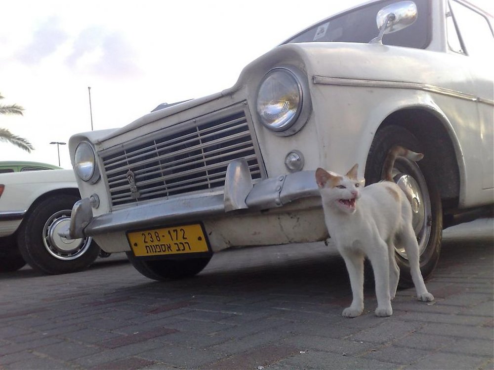 100920103249.jpg