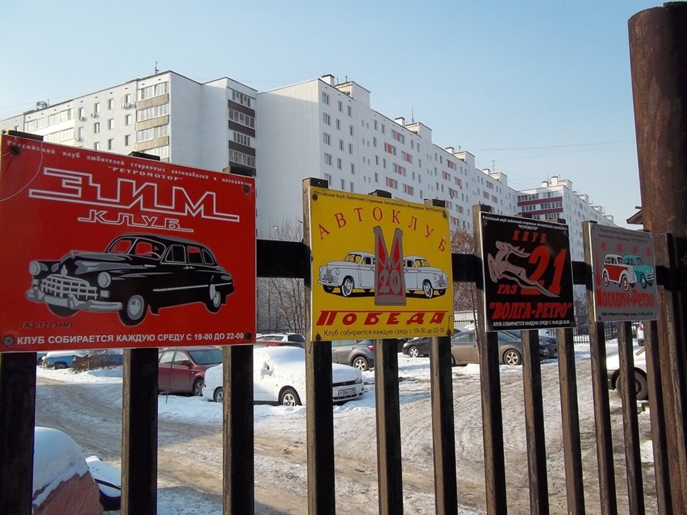 100_0235ss.JPG