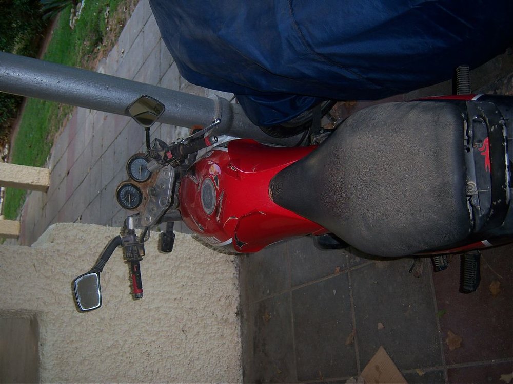 100_0405.jpg