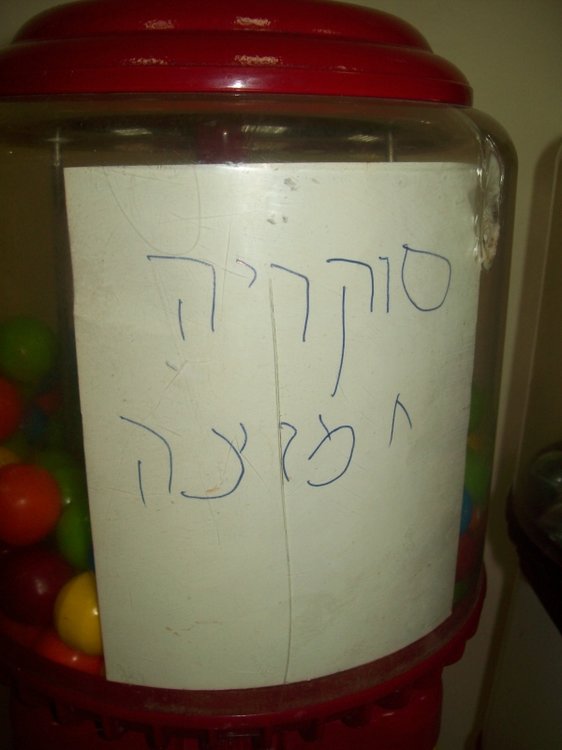 100_3580.JPG
