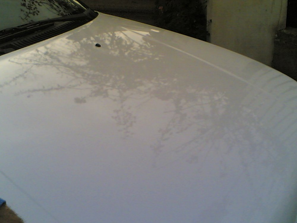 10122005(007).jpg
