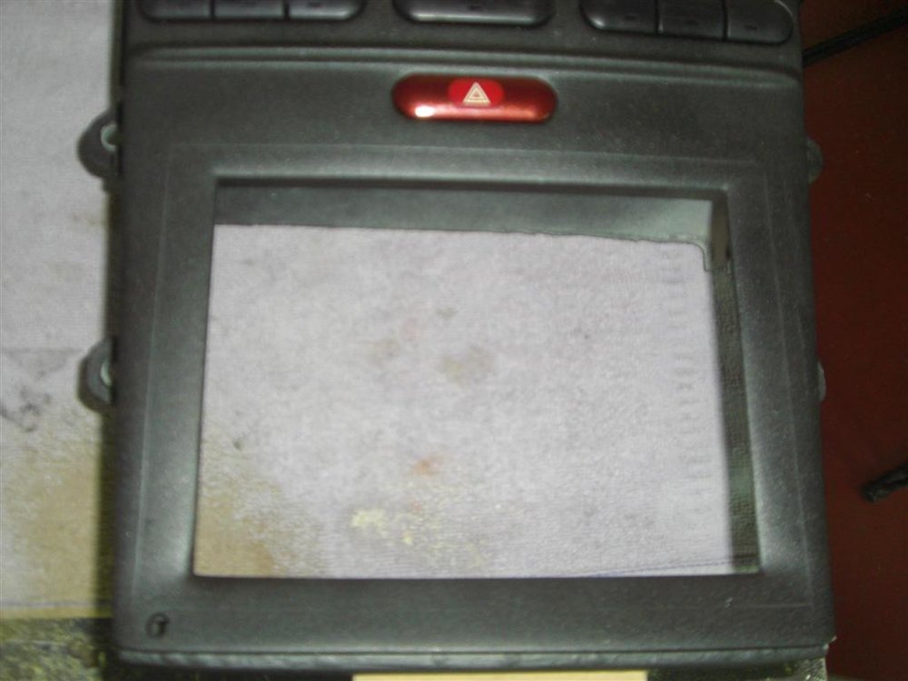 CIMG6769 (Large).JPG