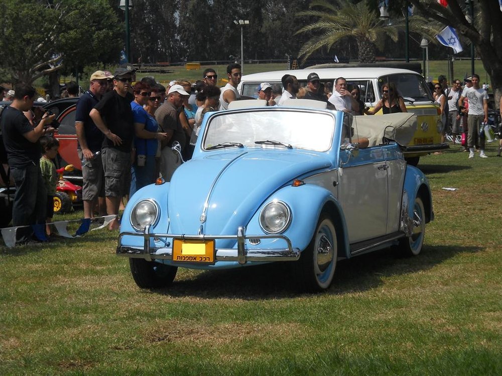 109 (Large).jpg